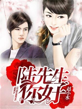 陸先生，你好