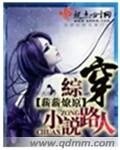 （BG-綜同人）綜穿小說路人