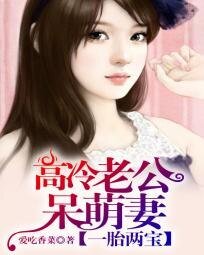 一胎两宝:高冷老公呆萌妻