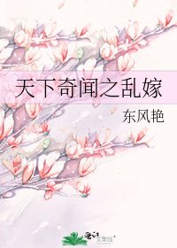 天下奇聞之亂嫁