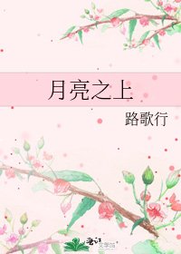 月亮之上