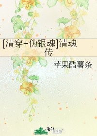 [清穿+偽銀魂]清魂傳
