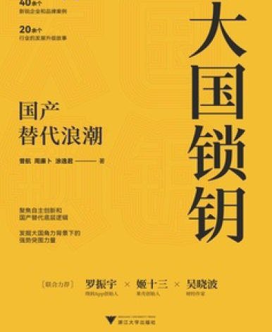 大國鎖鑰:國產替代朗吵(出版書)
