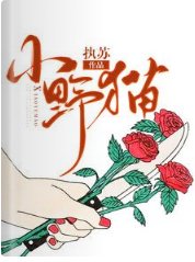 小野猫