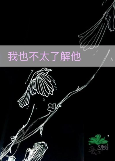 我也不太瞭解他