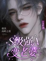 S級強A變老婆，褻瀆高嶺之花/我老婆是A級禁慾大佬！