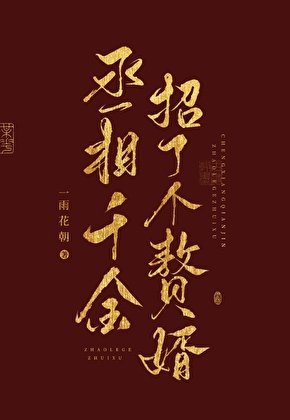 丞相千金招了个赘婿