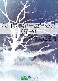 我们是遵纪守法好公民(穿书)