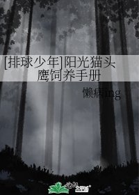 [排球少年同人]陽光貓頭鷹飼養手冊