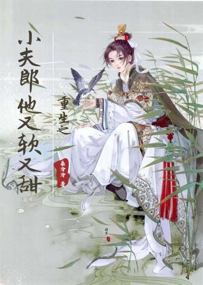 重生之小夫郎他又方又甜